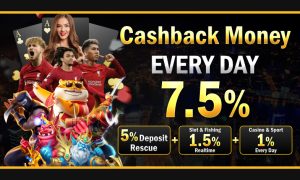 Cashback bonus